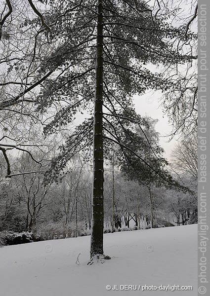 parc de Cointe sous la neige